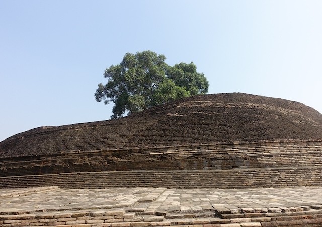 菩提迦耶 Bodhgaya 牧羊女 Sujata 大塔寺院